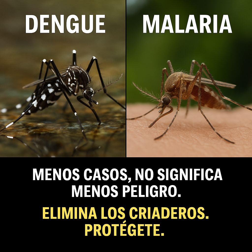 SANTO DOMINGO: Ministerio de Salud Pública destaca reducción en casos de dengue y malaria en 2025 e insta a mantener medidas de prevención