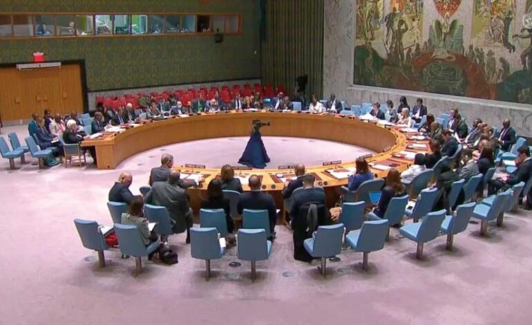 SANTO DOMINGO: RD logra reunión clave del Consejo de Seguridad tras carta sobre Haití
