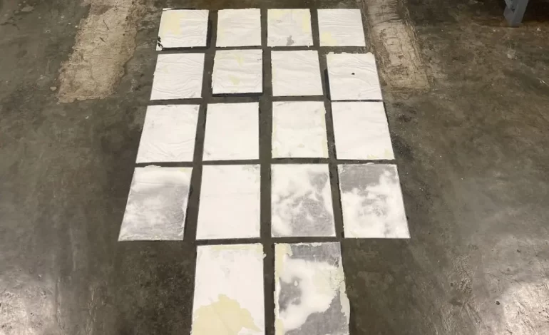 SANTO DOMINGO: DNCD incauta 18 láminas de cocaína camufladas en cuadros de cartón