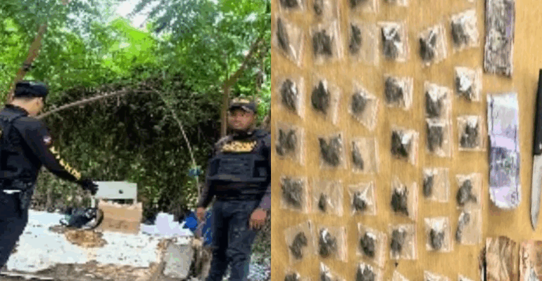 TAMAYO: PN ocupa marihuana en provincia Bahoruco