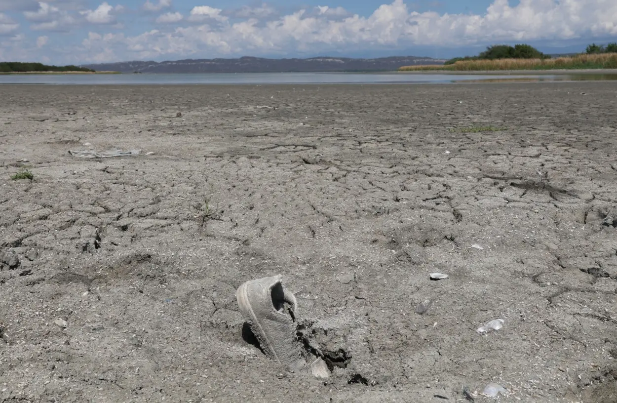 CABRAL: La Laguna Rincón: de un gran embalse a desierto con poca vida, según pescadores